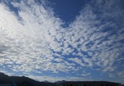 10.24hitujikumo2