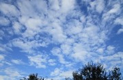 10.25kumohigasihe
