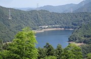 damuko