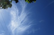 sujigumo10.17