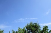 5.29kumo