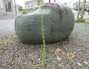 kikyousou28.1