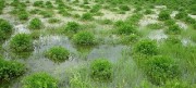 seribatakekabu