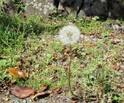 watage5.10