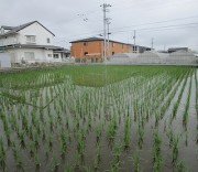 2026.7.7mizukagami