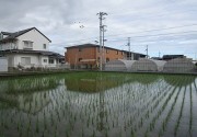 2026.mizukagami