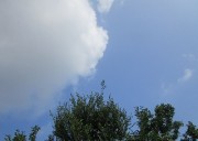 7.21kumo