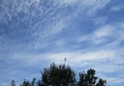 7.26kumo2