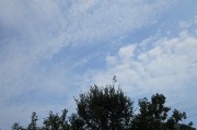 7.29kumo