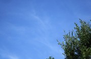 7.31kumo