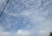 7.3kumo