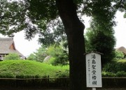 asikaga3