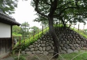 asikaga4