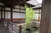 asikaga9