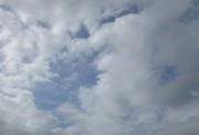 8.11kumo