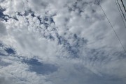 8.16kumo