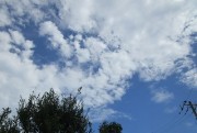 8.16kumo2