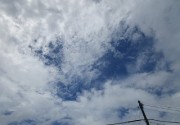 8.17kumo