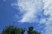 8.19kumo