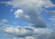 8.19kumo2