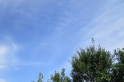 8.1kumo2