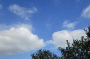 8.21kumo