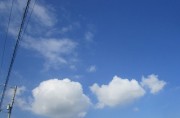 8.24kumo