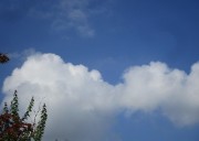 8.24kumo3
