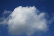 8.25kumo