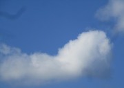 8.25kumo3