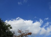 8.26kumo2