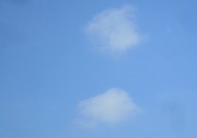 8.31kumo