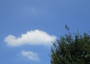 8.3kumo