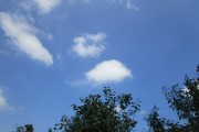 8.5kumo