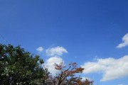 8.6kumo