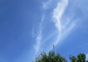 8.8kumo2