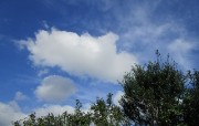 9.17kumo