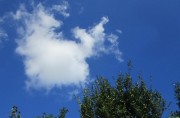 9.1kumo