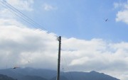 akatonbo9.17