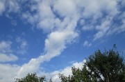10.14kumo
