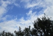 10.2kumo