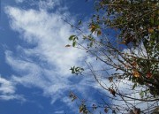 kumo10.21