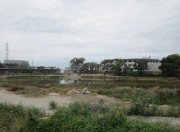 mizuganai
