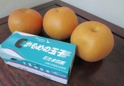 oganasi